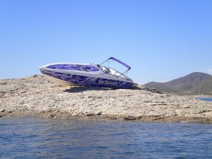 Scarab on the rocks